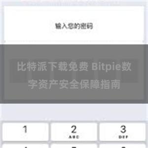 比特派下载免费 Bitpie数字资产安全保障指南