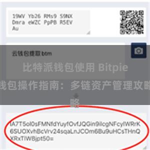 比特派钱包使用 Bitpie钱包操作指南：多链资产管理攻略