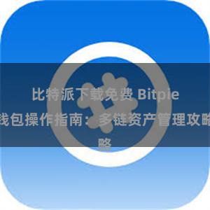 比特派下载免费 Bitpie钱包操作指南：多链资产管理攻略