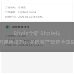 Bitpie全新 Bitpie钱包使用技巧：多链资产管理全攻略