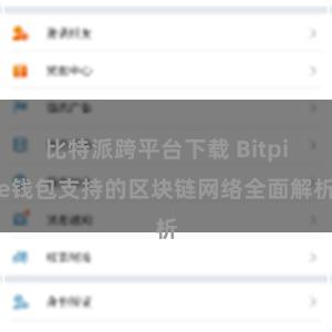 比特派跨平台下载 Bitpie钱包支持的区块链网络全面解析