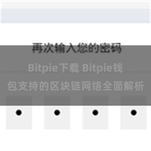 Bitpie下载 Bitpie钱包支持的区块链网络全面解析