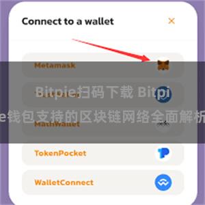 Bitpie扫码下载 Bitpie钱包支持的区块链网络全面解析