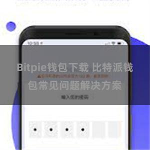 Bitpie钱包下载 比特派钱包常见问题解决方案