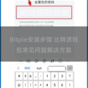 Bitpie安装步骤 比特派钱包常见问题解决方案