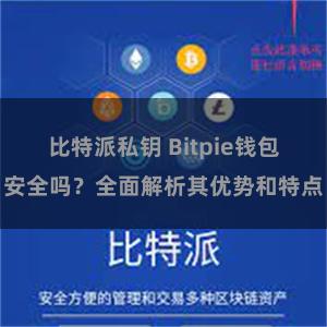 比特派私钥 Bitpie钱包安全吗？全面解析其优势和特点