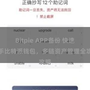 Bitpie APP备份 快速上手比特派钱包，多链资产管理全攻略