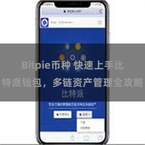 Bitpie币种 快速上手比特派钱包，多链资产管理全攻略