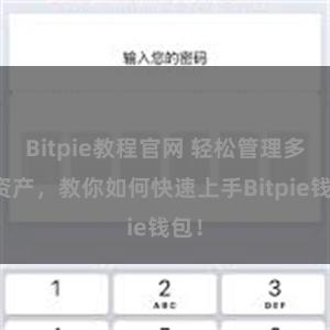 Bitpie教程官网 轻松管理多链资产，教你如何快速上手Bitpie钱包！