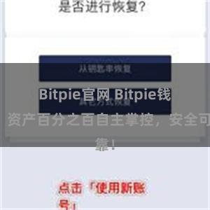 Bitpie官网 Bitpie钱包：资产百分之百自主掌控，安全可靠！