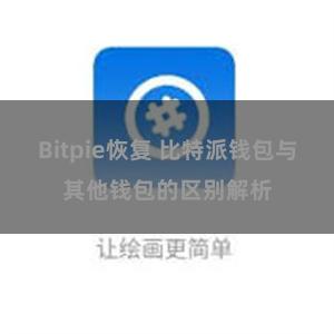 Bitpie恢复 比特派钱包与其他钱包的区别解析