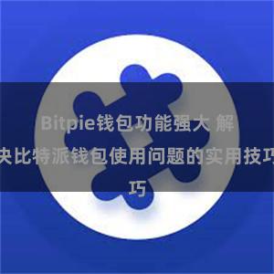 Bitpie钱包功能强大 解决比特派钱包使用问题的实用技巧