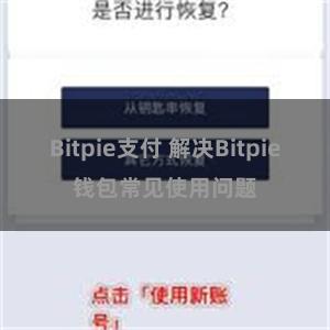 Bitpie支付 解决Bitpie钱包常见使用问题