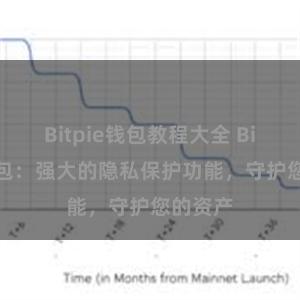 Bitpie钱包教程大全 Bitpie钱包：强大的隐私保护功能，守护您的资产