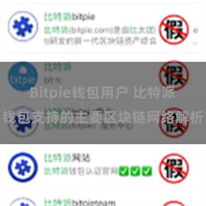 Bitpie钱包用户 比特派钱包支持的主要区块链网络解析