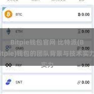 Bitpie钱包官网 比特派(Bitpie)钱包的团队背景与技术实力