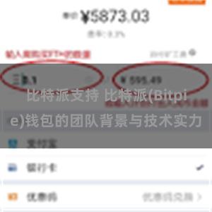 比特派支持 比特派(Bitpie)钱包的团队背景与技术实力