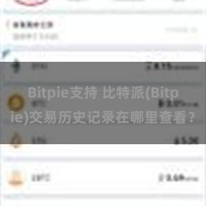 Bitpie支持 比特派(Bitpie)交易历史记录在哪里查看？