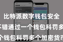 比特派数字钱包安全  用户不错通过一个钱包科罚多个加密货币