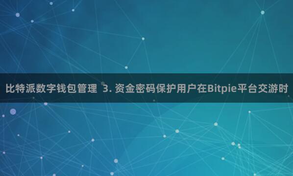 比特派数字钱包管理  3. 资金密码保护用户在Bitpie平台交游时