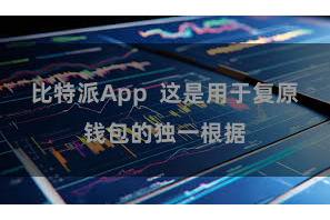 比特派App  这是用于复原钱包的独一根据