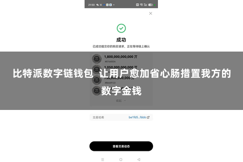 比特派数字链钱包  让用户愈加省心肠措置我方的数字金钱