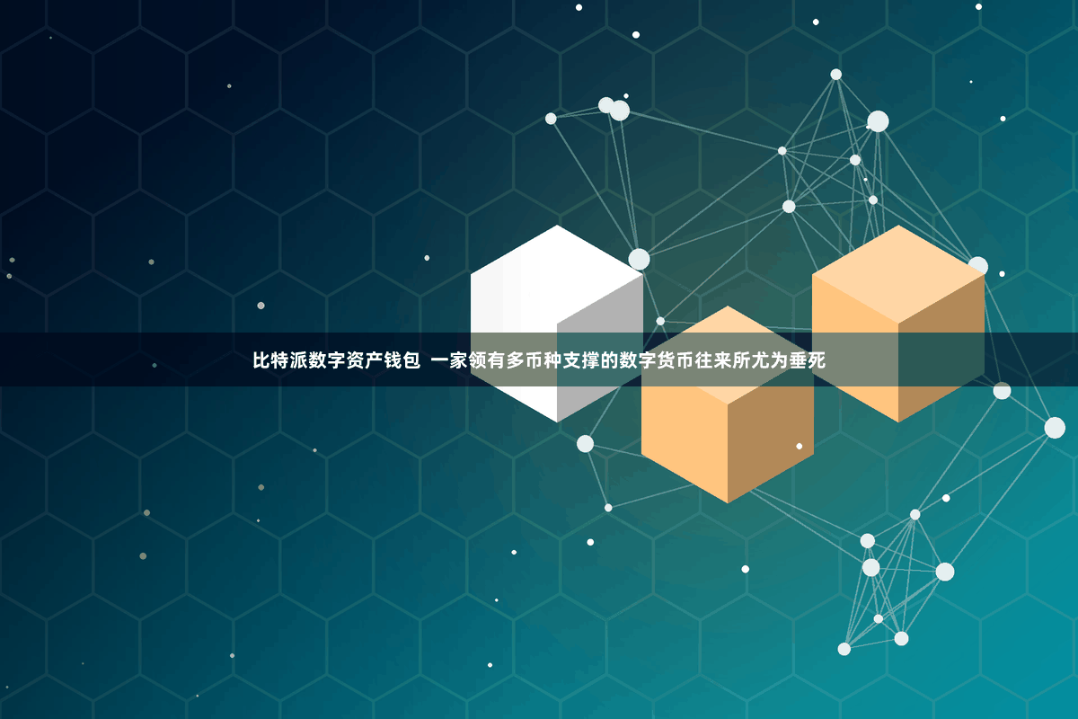 比特派数字资产钱包  一家领有多币种支撑的数字货币往来所尤为垂死